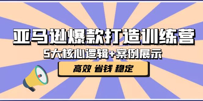 亚马逊爆款打造训练营：5大核心逻辑+案例展示 打造爆款链接 高效 省钱 稳定-天天学吧