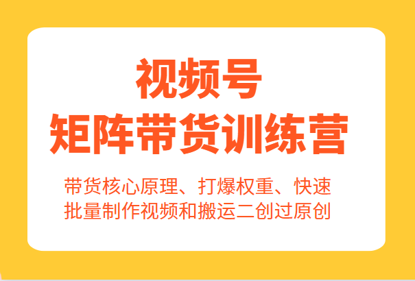 视频号矩阵带货训练营，带货核心原理、打爆权重、快速批量制作视频和搬运二创过原创 -天天学吧