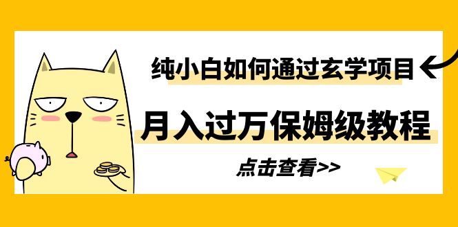 纯小白如何通过玄学项目月入过万保姆级教程-天天学吧