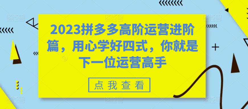 2023拼多多高阶运营进阶篇，用心学好四式，你就是下一位运营高手 -天天学吧