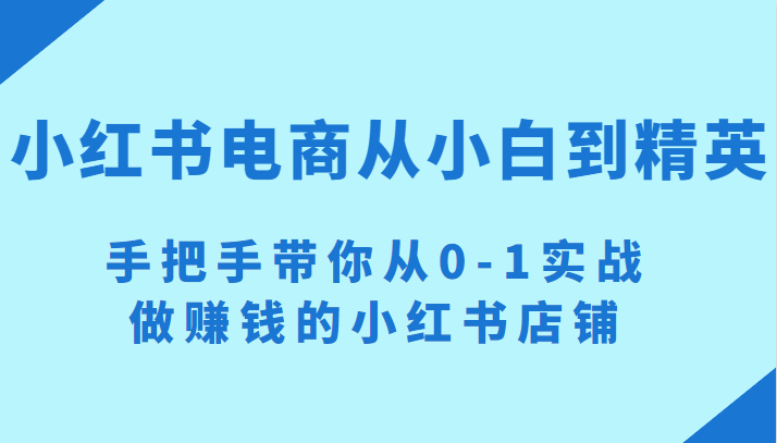 小红书电商项目：从小白到精英 手把手带你从0-1实战做赚钱的小红书店铺-天天学吧