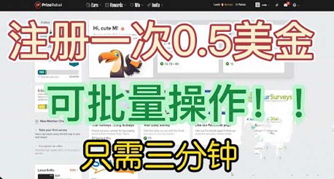 国外项目注册一次0.5美金 只需三分钟无脑操作 可批量放大 小白工作室福利-天天学吧