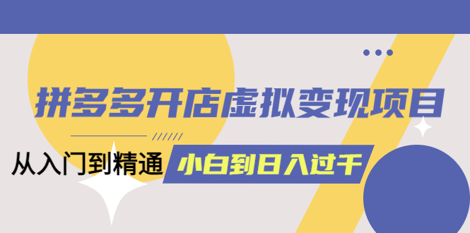 拼多多开店虚拟变现项目：入门到精通 从小白到日入1000（完整版）6月13更新 -天天学吧