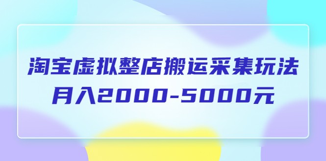 淘宝虚拟整店搬运采集玩法分享课：月入2000-5000元（5节课）-天天学吧