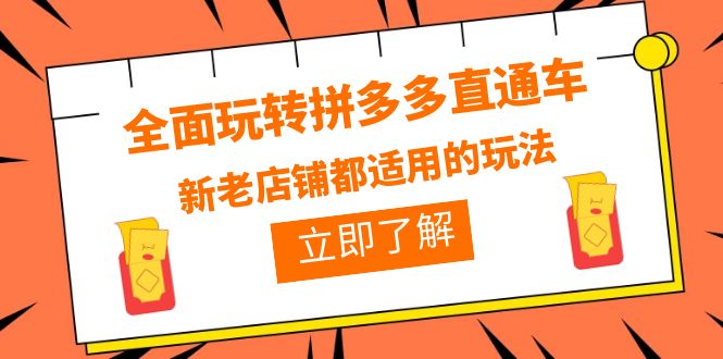 全面玩转拼多多直通车，新老店铺都适用的玩法（12节精华课）-天天学吧