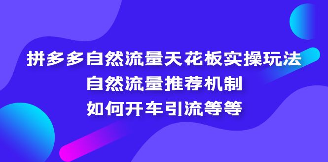 拼多多自然流量天花板实操玩法：自然流量推荐机制，如何开车引流等等-天天学吧