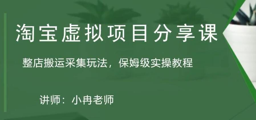 淘宝虚拟整店搬运采集玩法分享课：整店搬运采集玩法，保姆级实操教程-天天学吧