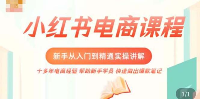 小红书电商新手入门到精通实操课，从入门到精通做爆款笔记，开店运营-天天学吧