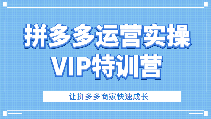 拼多多运营实操VIP特训营，让拼多多商家快速成长（价值3180元）-天天学吧