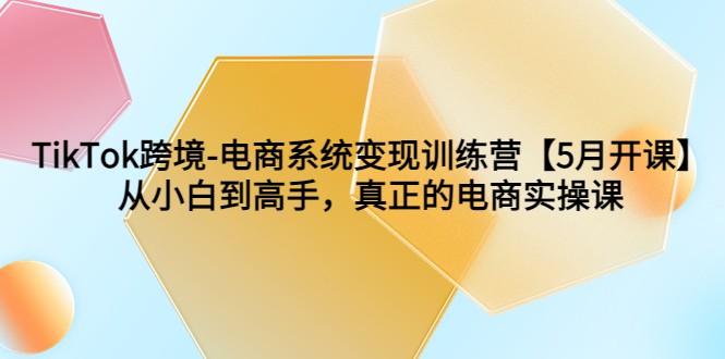 TikTok跨境-电商系统变现训练营【5月新课】从小白到高手，真正的电商实操课 -天天学吧