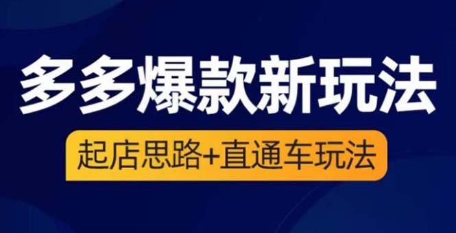 2023拼多多爆款·新玩法：起店思路+直通车玩法（3节精华课）-天天学吧