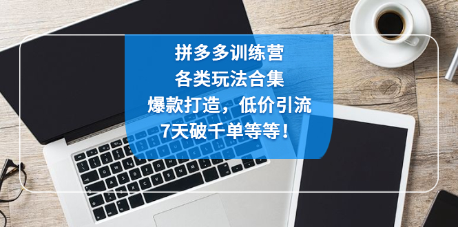  拼多多训练营：各玩法合集，爆款打造，低价引流，7天破千单等等-天天学吧