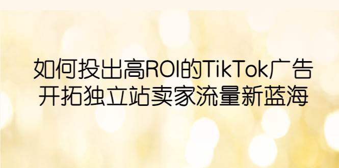  如何投出高ROI·TikTok广告，开拓独立站卖家流量新蓝海 -天天学吧