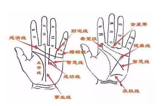 零基础入门到精通，传统手相结合西方占星理论，真人案例-名师讲座论坛-精品讲座-天天学吧