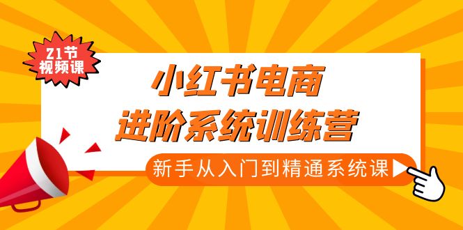 小红书电商进阶系统训练营：新手从入门到精通系统课（21节视频课）-天天学吧