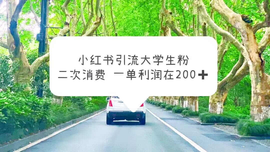 小红书引流大学生粉，变现项目，一单利润在200+（教程+资源）-天天学吧