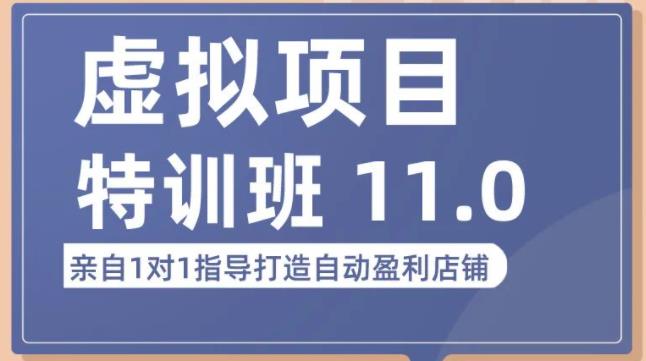  虚拟项目特训班（10.0+11.0），0成本获取虚拟素材，0基础打造自动盈利店铺 -天天学吧