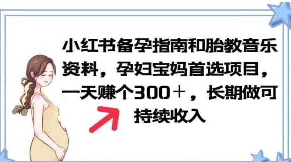 2023小红书备孕指南和胎教音乐资料孕妇宝妈首选项目一天赚个300＋长期可做【揭秘】-天天学吧