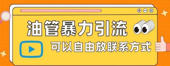 图片[1]-2023油管暴力引流，可以自由放联系方式【揭秘】-天天学吧