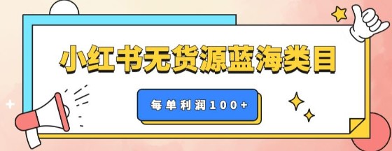 2023小红书无货源做蓝海类目【每单利润50-200+】，单月轻松过万【揭秘】-天天学吧