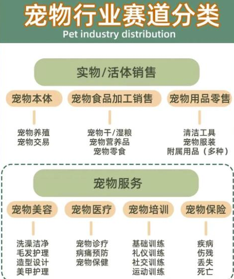 小红书宠物项目揭秘：长期稳定赚钱，月入8000+实现梦想-图文项目论坛-图文项目-天天学吧