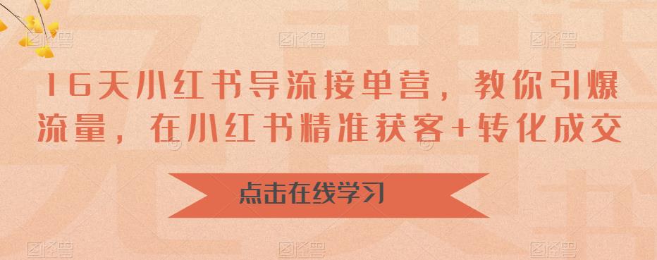 16天-小红书 导流接单营，教你引爆流量，在小红书精准获客+转化成交 -天天学吧