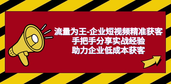 流量为王-企业 短视频精准流量，100%分享实战经验，助力企业低成本获取流量-天天学吧