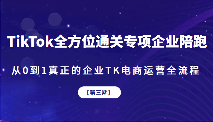 TikTok全方位通关专项企业陪跑【第三期】，从0到1助力企业实现全流程TK电商运营-天天学吧