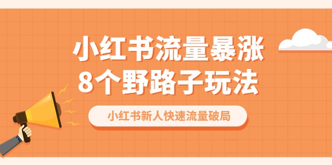 小红书流量-暴涨8个野路子玩法：小红书新人快速流量破局（8节课）-天天学吧