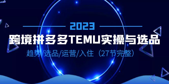 2023跨境·拼多多·TEMU实操与选品，趋势·选品·运营·入住（27节完整）-天天学吧