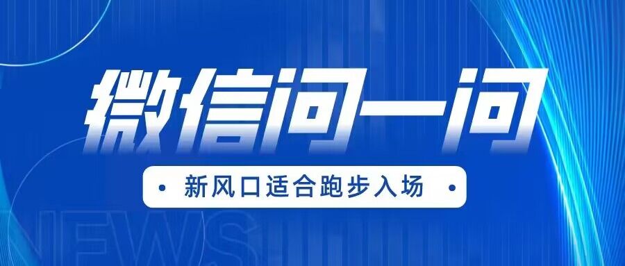 全网首发微信问一问新风口变现项目（价值1999元）-天天学吧