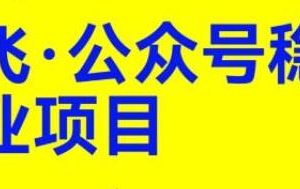 2023公众号稳定副业项目，月赚2W＋！新媒体运营课程助你实现财务自由！-天天学吧