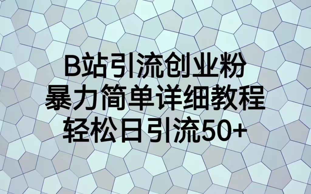 B站引流创业粉，轻松掌握暴力简单详细教程，每天引流50+-天天学吧