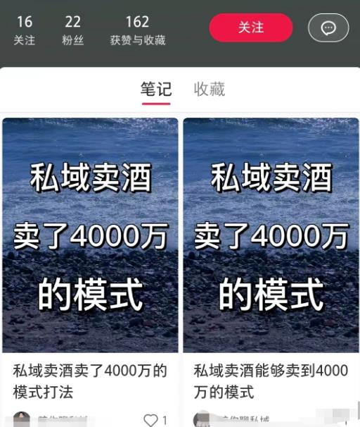 小红书高效引流新玩法，月销50w从矩阵开始！-图文项目论坛-图文项目-天天学吧