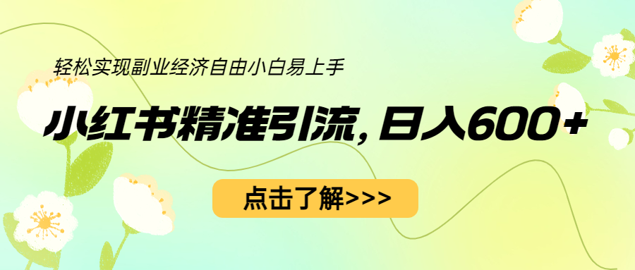 小红书精准引流，小白日入600+，轻松实现副业经济自由（教程+1153G资源）-天天学吧