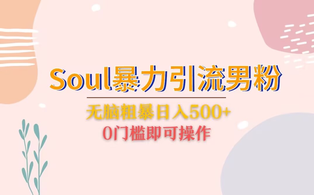 Soul暴力引流男粉玩法，无脑粗暴日入500＋，0门槛即可操作-天天学吧