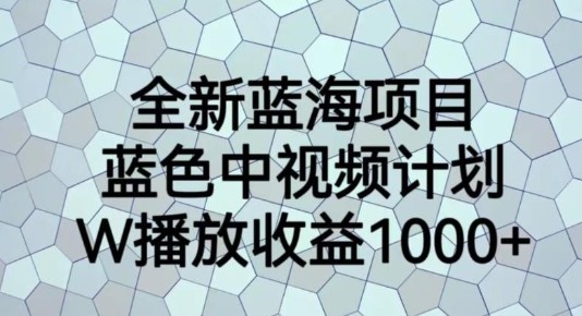 揭秘2023全新蓝海项目！蓝色中视频计划带你实现1W播放量1000+！-天天学吧