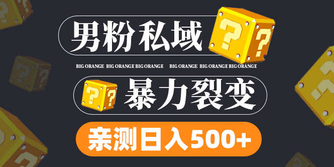 男粉项目揭秘：作品变现1000+，新渠道新玩法，一部手机月入过万！-天天学吧