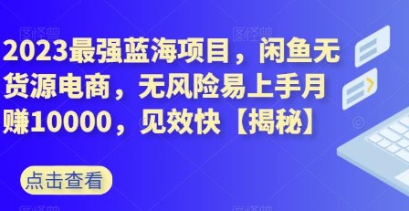 2023最强蓝海项目，闲鱼无货源电商，无风险易上手，每月轻松赚取10000+！-天天学吧