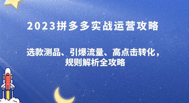 2023拼多多实战运营攻略：选款测品、引爆流量、高点击转化，规则解析全攻略-天天学吧