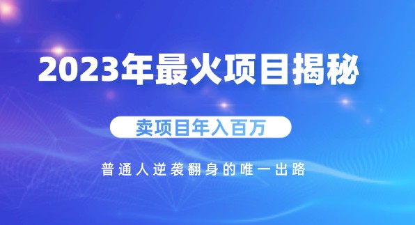 2023年最火项目揭秘！卖项目年入百万，普通人逆袭翻身的唯一出路！-天天学吧