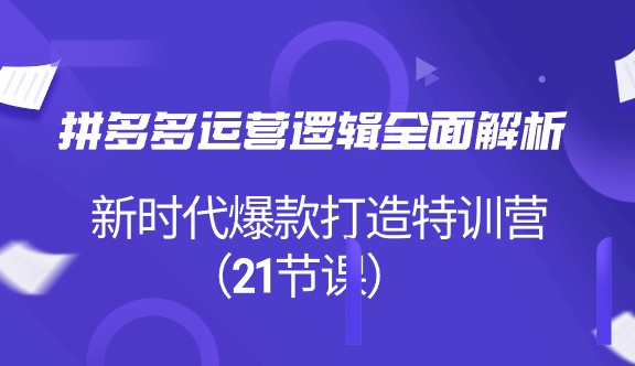 拼多多运营逻辑全面解析，新时代爆款打造特训营（21节课），拼多多运营攻略与技巧-天天学吧