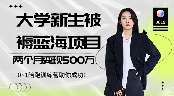 如何利用大学新生被褥蓝海项目实现两个月变现500万，0~1陪跑训练营助你成功！-天天学吧