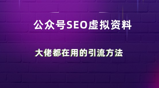 公众号SEO虚拟资料变现，操作简单高效，每日轻松赚500+，实现批量操作-天天学吧