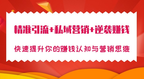 从精准引流到私域营销，逆袭赚钱三部曲，快速提升赚钱认知与营销思维！-天天学吧