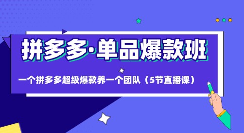 拼多多超级爆款养团队，拼多多·单品爆款班带你实战（5节直播课）-天天学吧