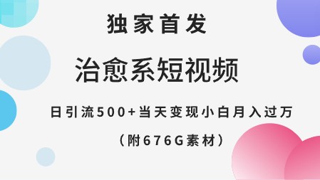 独家首发！治愈系短视频，日引流500+，当天变现！小白月入过万，（附676G素材）-天天学吧