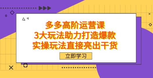 拼多多高阶运营课，3大玩法助力打造爆款，实操干货分享-天天学吧