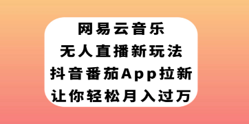 最新网易云音乐无人直播玩法，抖音番茄APP拉新，助你月入过万轻松实现！-天天学吧