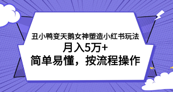 小红书女神打造攻略，丑小鸭变天鹅，月入5万+，简单易懂流程操作-天天学吧